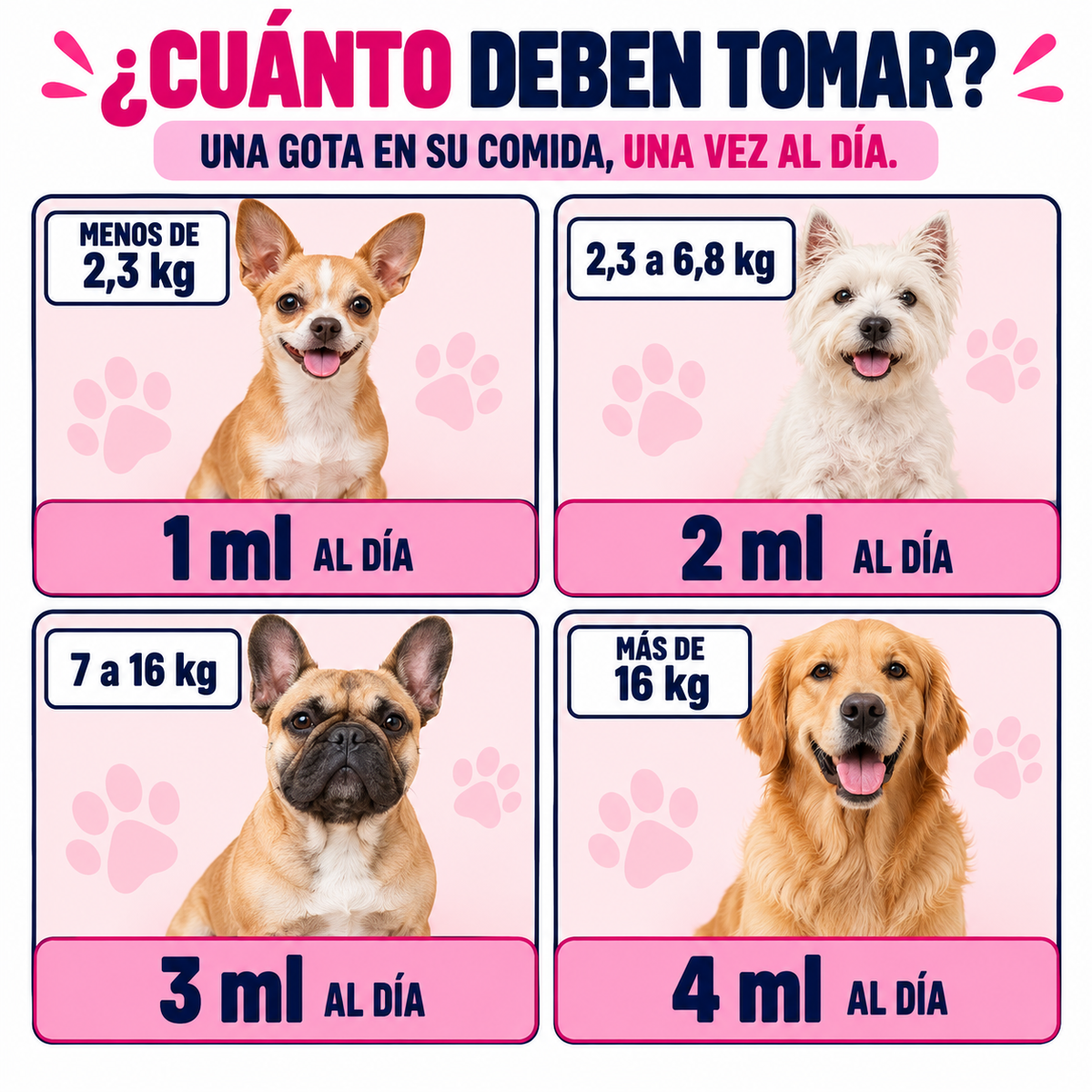 COLÁGENO PET™ | Piel reseca, comezón y lamido excesivo.