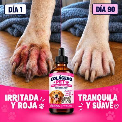 COLÁGENO PET™ | Piel reseca, comezón y lamido excesivo.